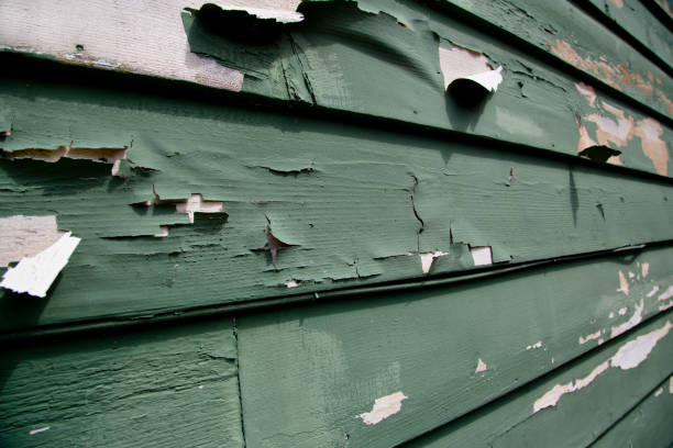 Best Siding Painting and Refinishing  in Bardmoor, FL